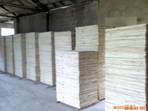 杉木拼板,柜子板,杉木工藝品專用板,家具用各種板材 金林木業(yè)