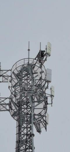 大雪時(shí)節(jié)，電信服務(wù)溫暖如約——記信息咨詢服務(wù)的堅(jiān)守與溫度